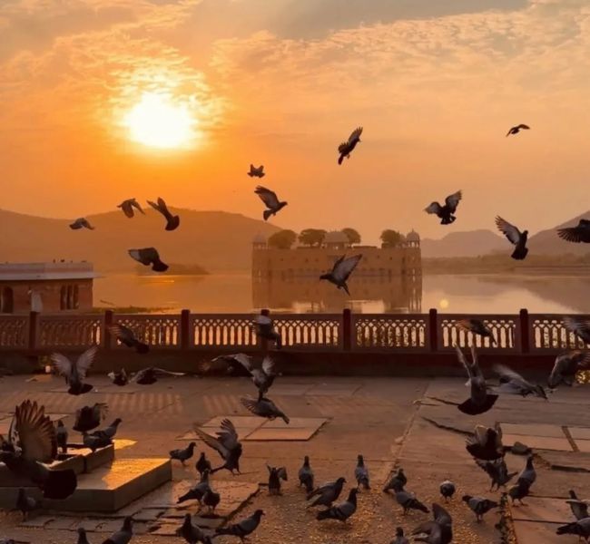 Top Travel Search in India